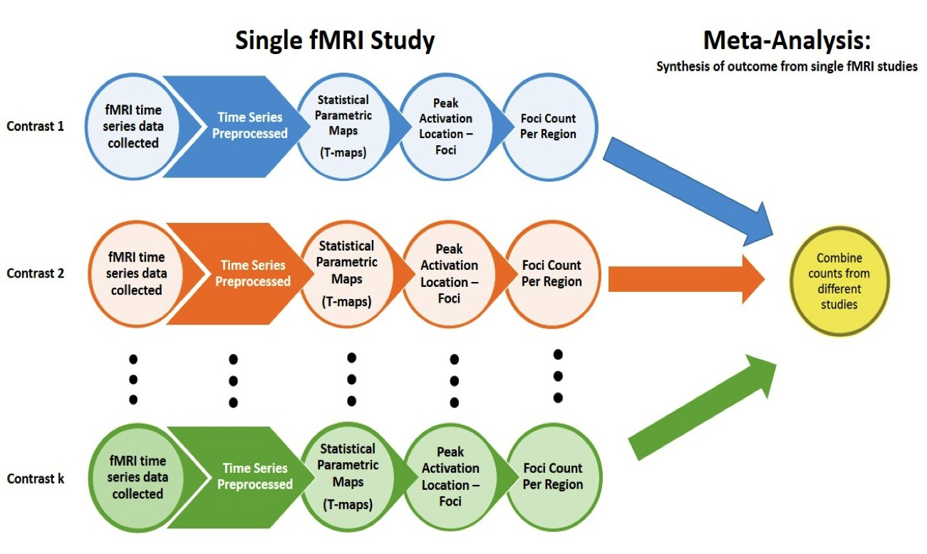 Introduction to Meta-Analyses